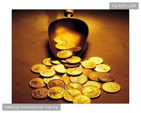 深入解析久发365登录的安全措施与隐私保护策略，保障用户资金与信息安全